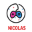 TheNicolasYT