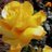 queendebbie_20