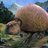protopaleonto