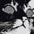 le_chaman