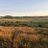 craig_photos