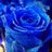 Line__C
