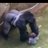 classicbryan123