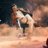 Selva_Raj_M
