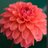 Joane67Kennedy