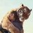 Tigger01251