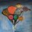 moit_arora