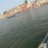 shubhamsingh41