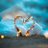 Sakshi_sneha_