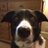 graham_beeke