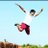 sourabh258
