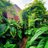 junglegardenlds