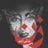 sepideh_208