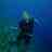 deepseawifey