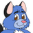 Gato303co