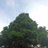 abdal_hanan