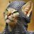 CryptoICTkat