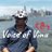 voiceofvinu