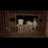 imraaz_12