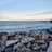 Danee_12