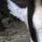 blackhair4ngel