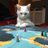 Autisticcat2