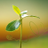 agreengeek