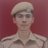 nobin_leo