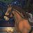 HorseDefault