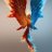 ave_fenix4