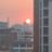prash009in