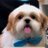 daniele_wdid