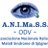 ANIMaSS05