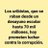 montador29