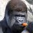 Leonard_Smallss