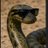 an_conda