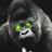 Scottish_Ape