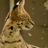 secondserval