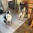 belisle_joanne