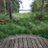 P_vellaY