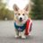 CapCorgiTTV