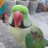 SATISH_21