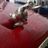 morley_751
