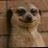 daisy_support