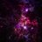michael_p492