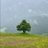 mandeep_rm