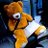 Teddy_Chile