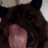 AshleyCargill5