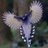 theIndian0786