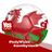 Welsh_Dragon_71